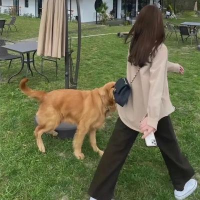 听音剑